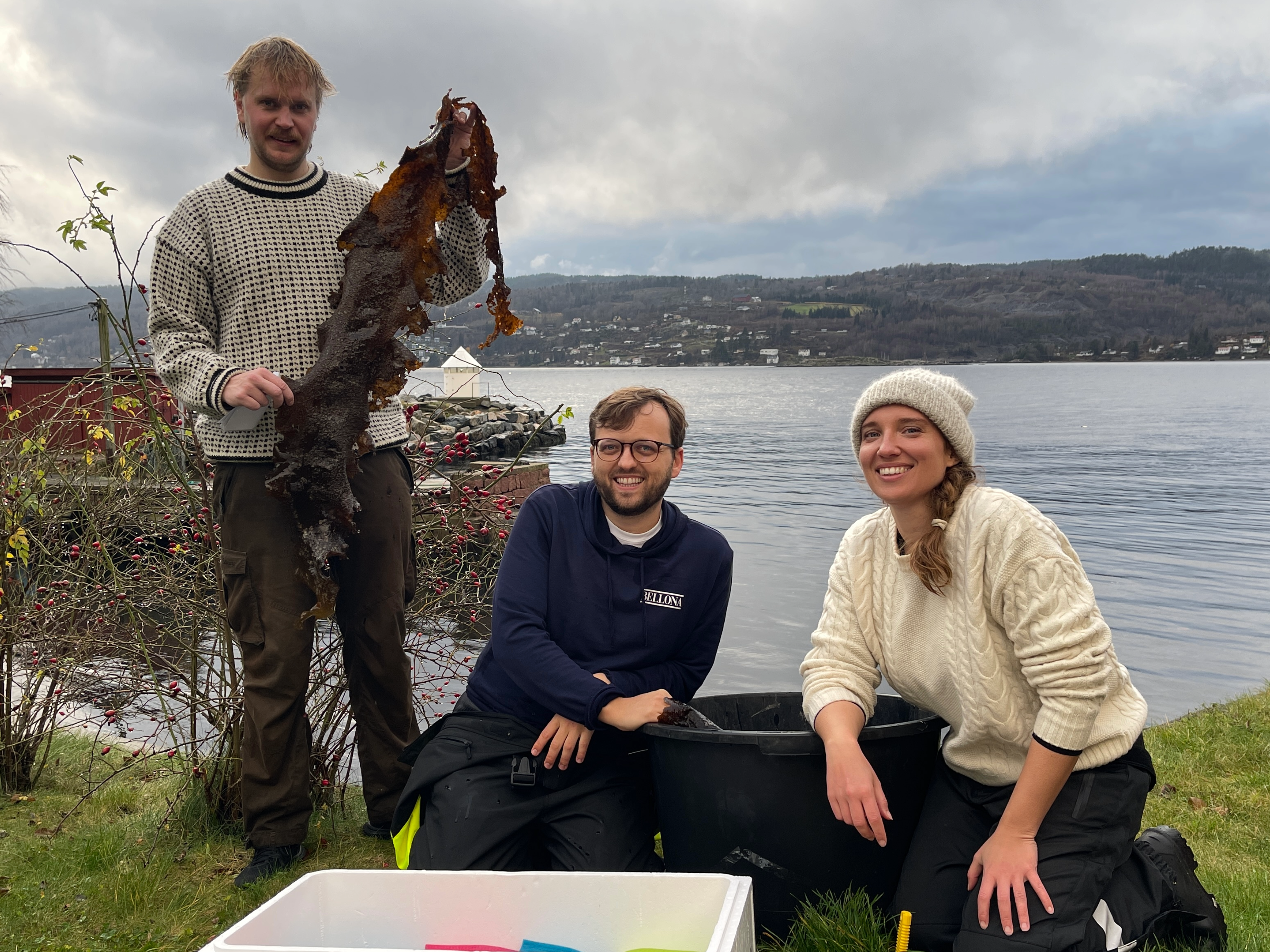 Alexander Ugland of Bellona holding up sugar kelp after a dive in the Drøbak Fjord, with Bellona marine biologists Simon H. Kline and Jessica Hough. The kelp was used in Bellona’s Oslofjord Kelp Park pilot project near Slemmstad. 