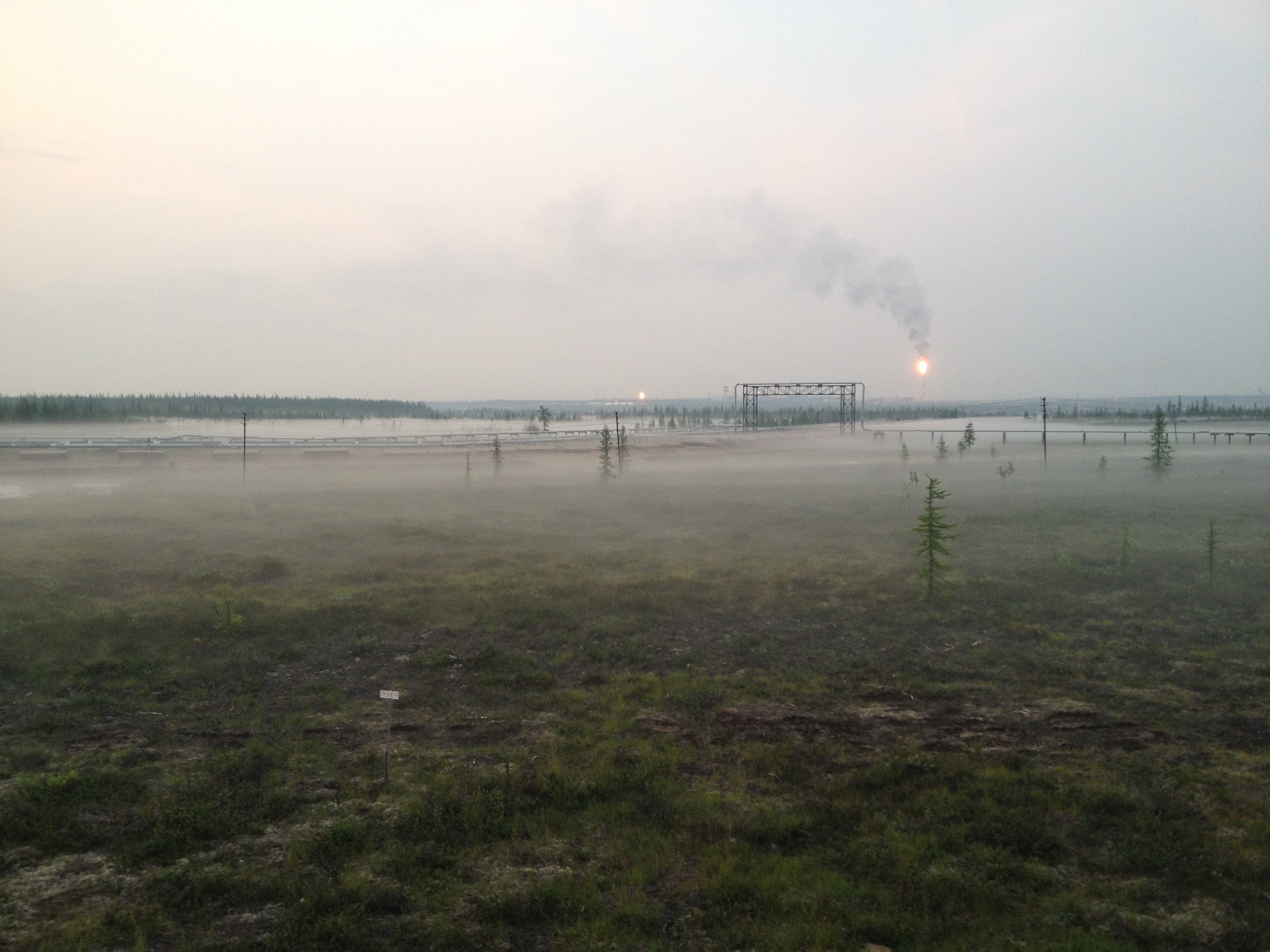 Ванкор на рассвете. Фото: Павел Гуренчук, panoramio.com